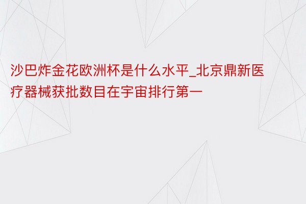 沙巴炸金花欧洲杯是什么水平_北京鼎新医疗器械获批数目在宇宙排行第一