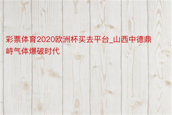 彩票体育2020欧洲杯买去平台_山西中德鼎峙气体爆破时代